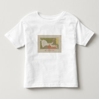 Camiseta De Bebé Mapa geológico del distrito claro del lago