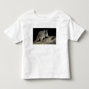 Camiseta De Bebé Mapache Norteño, Procyon lotor