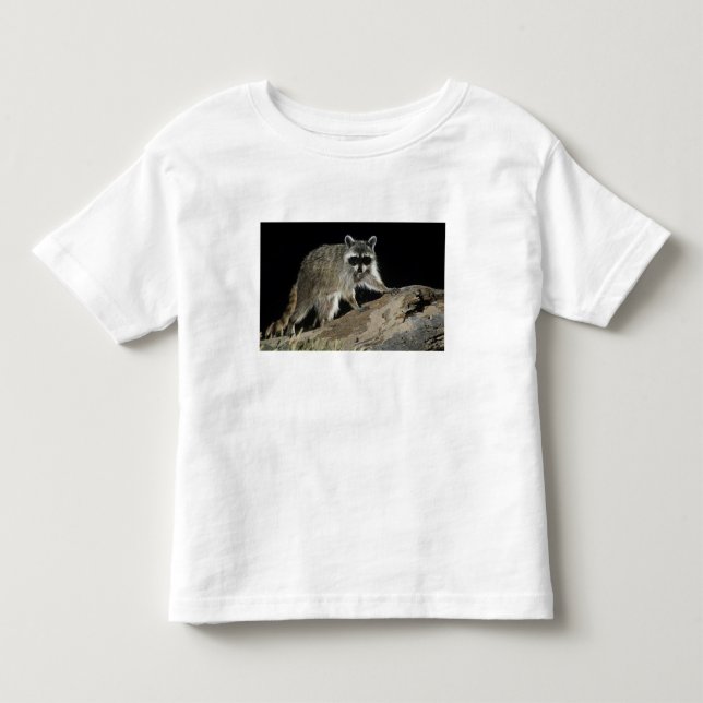 Camiseta De Bebé Mapache Norteño, Procyon lotor (Anverso)