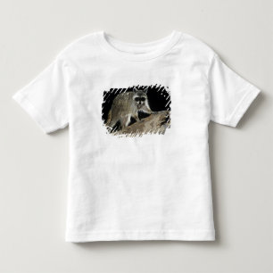 Camiseta De Bebé Mapache Norteño, Procyon lotor