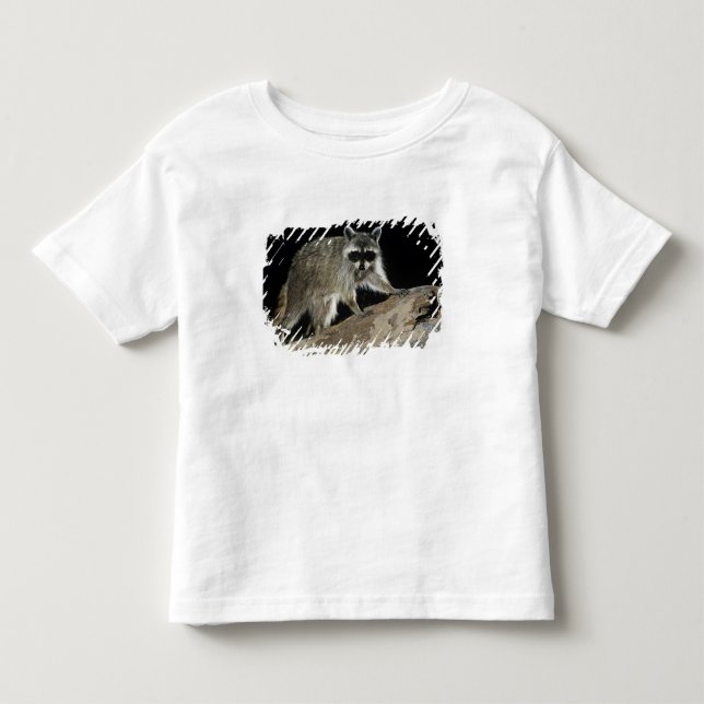 Camiseta De Bebé Mapache Norteño, Procyon lotor (Anverso)