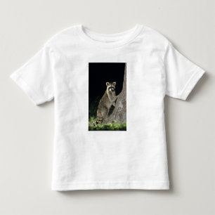 Camiseta De Bebé Mapache norteño, Procyon lotor, adulto en árbol