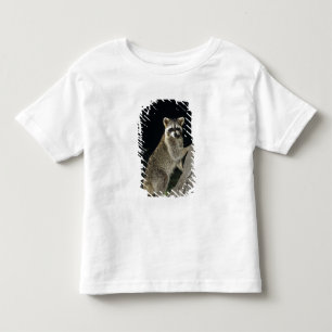 Camiseta De Bebé Mapache norteño, Procyon lotor, adulto en árbol