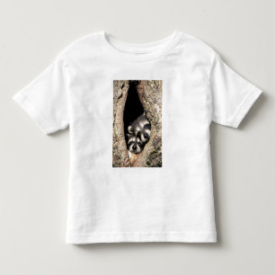 Camiseta De Bebé Mapaches bebés en cavidad de árbol Procyon