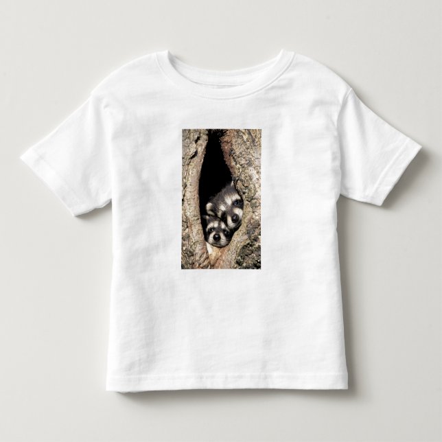 Camiseta De Bebé Mapaches bebés en cavidad de árbol Procyon (Anverso)