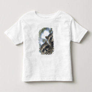 Camiseta De Bebé Mapaches Procyon Lotor) de Fish Lake, Central