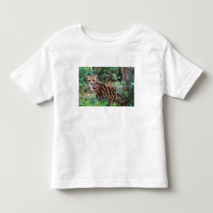 Camiseta De Bebé Margay, Leopardus wiedi, nativo de México