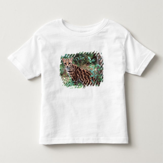 Camiseta De Bebé Margay, Leopardus wiedi, nativo de México (Anverso)
