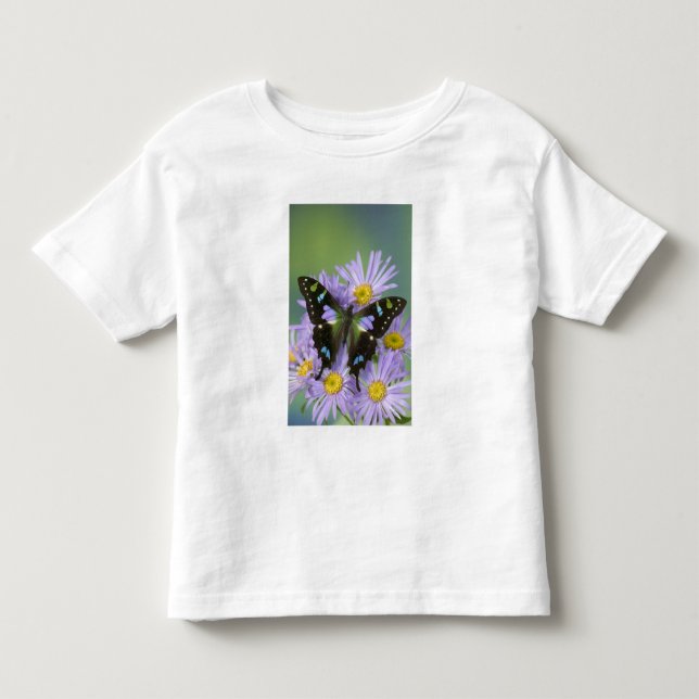 Camiseta De Bebé Mariposa sobre Púrpura (Anverso)