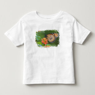 Camiseta De Bebé Mariposa soldado (Danaus eresimus) alimentándose