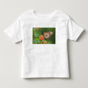 Camiseta De Bebé Mariposa soldado (Danaus eresimus) alimentándose