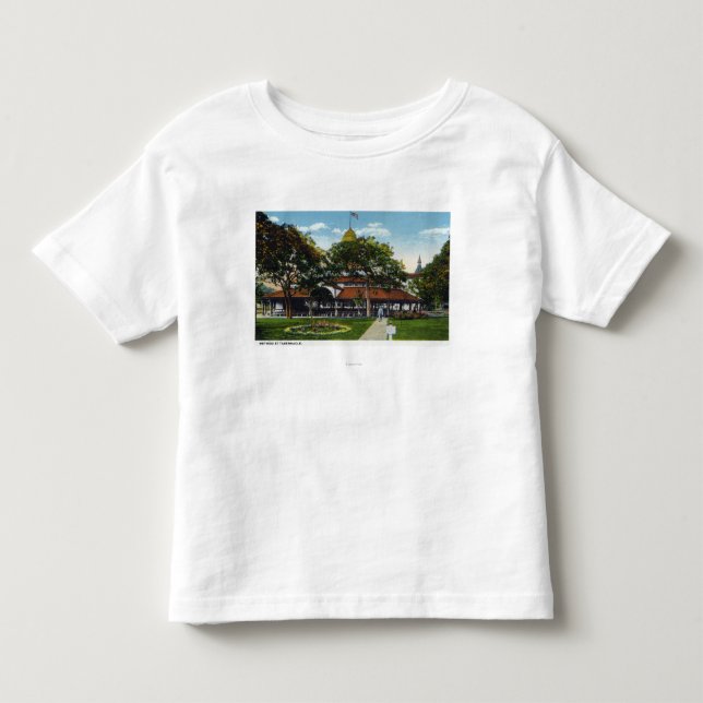 Camiseta De Bebé Martha's Vineyard, opinión el Methodist (Anverso)