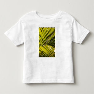 Camiseta De Bebé Mauricio, Mauricio Central, Moka, palma