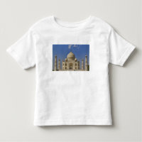 mausoleo del Taj Mahal / Agra, India