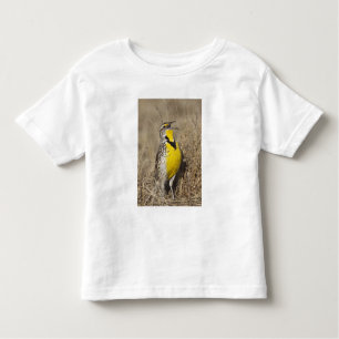 Camiseta De Bebé Meadowlark occidental (Strunella neglecta)