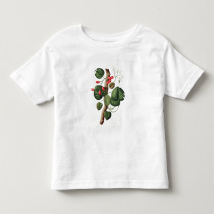 Camiseta De Bebé Menispermum de "Phytographie Medicale" por José