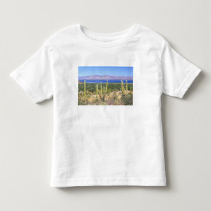 Camiseta De Bebé México, Baja California Sur, Cardon Cactus en