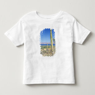 Camiseta De Bebé México, Baja California Sur, Mulege, Bahía