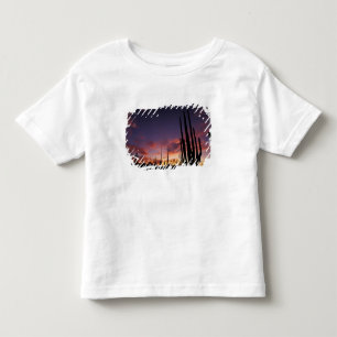 Camiseta De Bebé México, Baja del Norte, Catavina Desert Nacional 