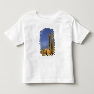 Camiseta De Bebé México, Baja del Norte, Desierto Nacional de Catav