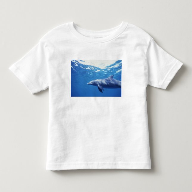 Camiseta De Bebé México, Cozumel. Delfín mular, Tursiops 3 (Anverso)