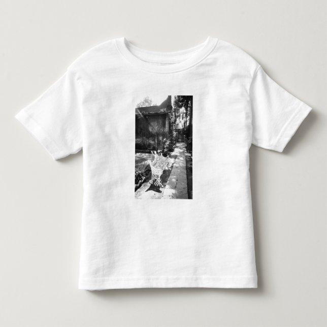 Camiseta De Bebé MÉXICO, D.F., Ciudad de México, COYOACAN: Banco en (Anverso)