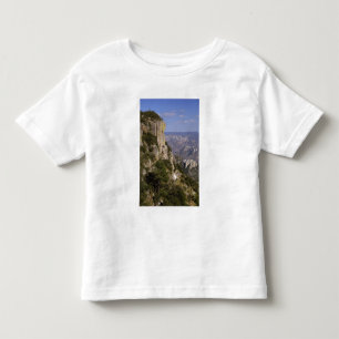 Camiseta De Bebé México, Estado de Chihuahua, Copper Canyon. ESTO 2