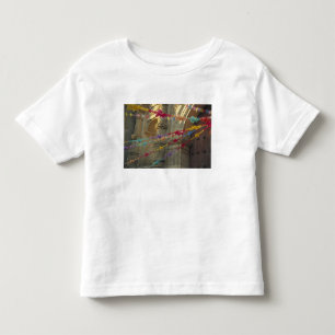 Camiseta De Bebé México, Oaxaca, Templo de San Felipe de Neri