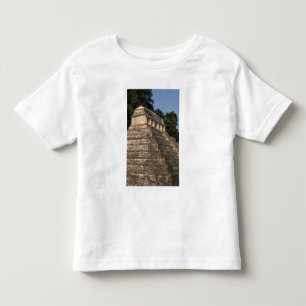 Camiseta De Bebé México, provincia de Chiapas, Palenque. Templo de