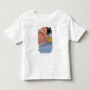 Camiseta De Bebé México, San Miguel de Allende, Casas a lo largo