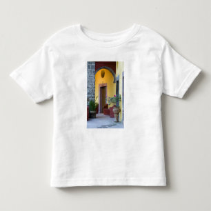 Camiseta De Bebé México, San Miguel de Allende, Entrada de Arco