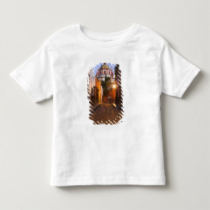Camiseta De Bebé México, San Miguel de Allende. Temprano en la maña