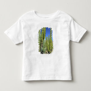 Camiseta De Bebé México, Sonora, San Carlos. Saguaro & Organ Pipe
