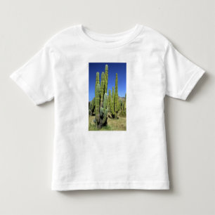 Camiseta De Bebé México, Sonora, San Carlos. Saguaro y pitahaya