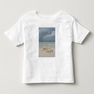 Camiseta De Bebé México, Yucatán, Isla Mujeres Isla de