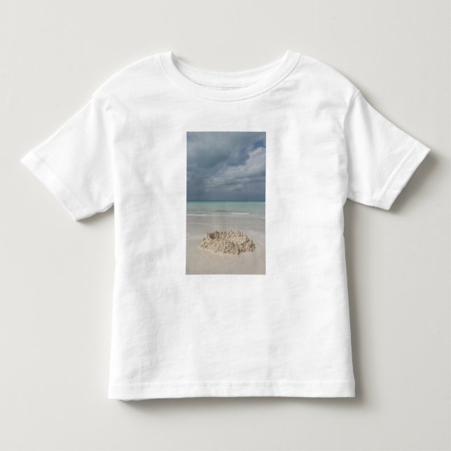 Camiseta De Bebé México, Yucatán, Isla Mujeres Isla de (Anverso)