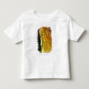 Camiseta De Bebé Míchigan, Rochester Hills. Mantis religiosa sobre 