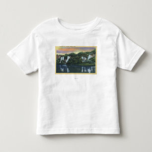 Camiseta De Bebé Mil primaveras, IDQuartette caen visión
