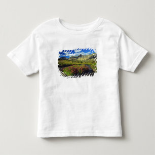 Camiseta De Bebé Mimulus de Logan Pass en Glacier National