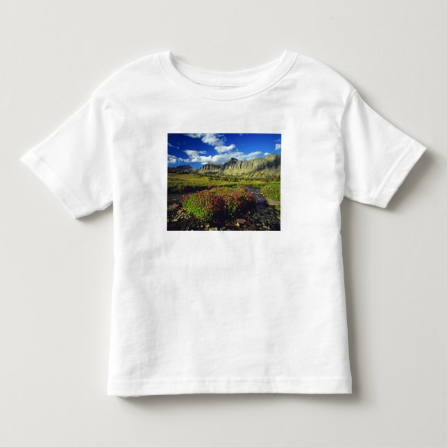 Camiseta De Bebé Mimulus de Logan Pass en Glacier National (Anverso)
