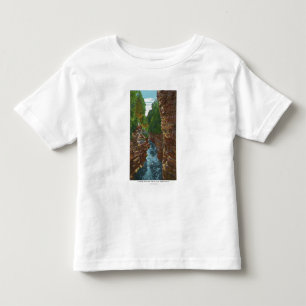 Camiseta De Bebé Mirada abajo del abismo de Ausable de la cueva de
