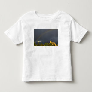 Camiseta De Bebé Misión histórica de St Ignatius en St Ignatius,