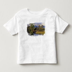 Camiseta De Bebé Mission Creek atraviesa el National Bison