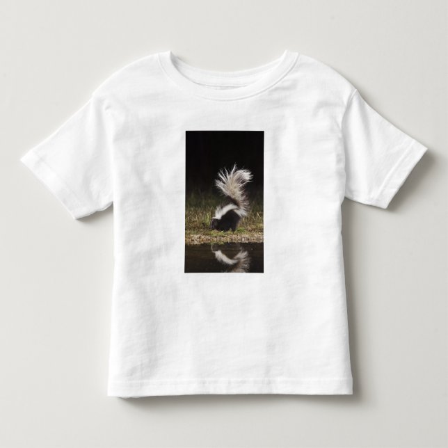 Camiseta De Bebé Mofeta rayada, Mephitis mephitis (Anverso)