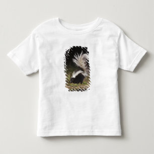 Camiseta De Bebé Mofeta rayada, Mephitis mephitis