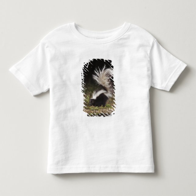 Camiseta De Bebé Mofeta rayada, Mephitis mephitis (Anverso)