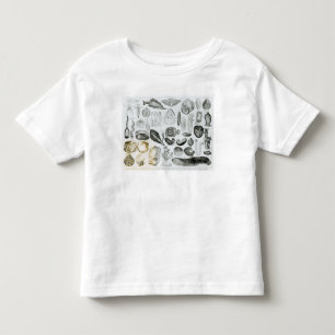 Camiseta De Bebé Moluscos