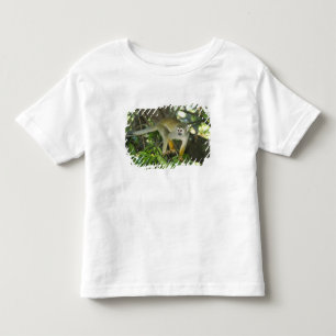 Camiseta De Bebé Mono ardilla común, (Saimiri sciureus), Río