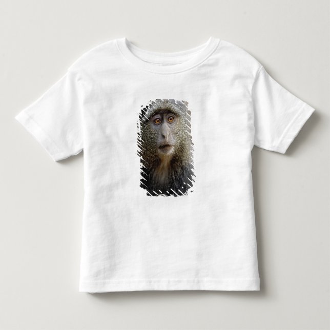 Camiseta De Bebé Mono de Sykes o mono azul, Cercopithecus mitis, (Anverso)