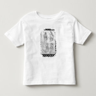 Camiseta De Bebé Monos, del álbum de Vallardi